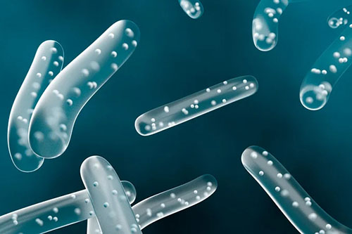 Prebiotici e postbiotici