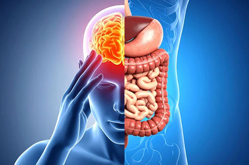 SAM-e S-Adenosil Metionina