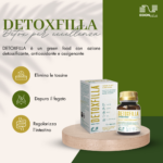 Detoxfilla