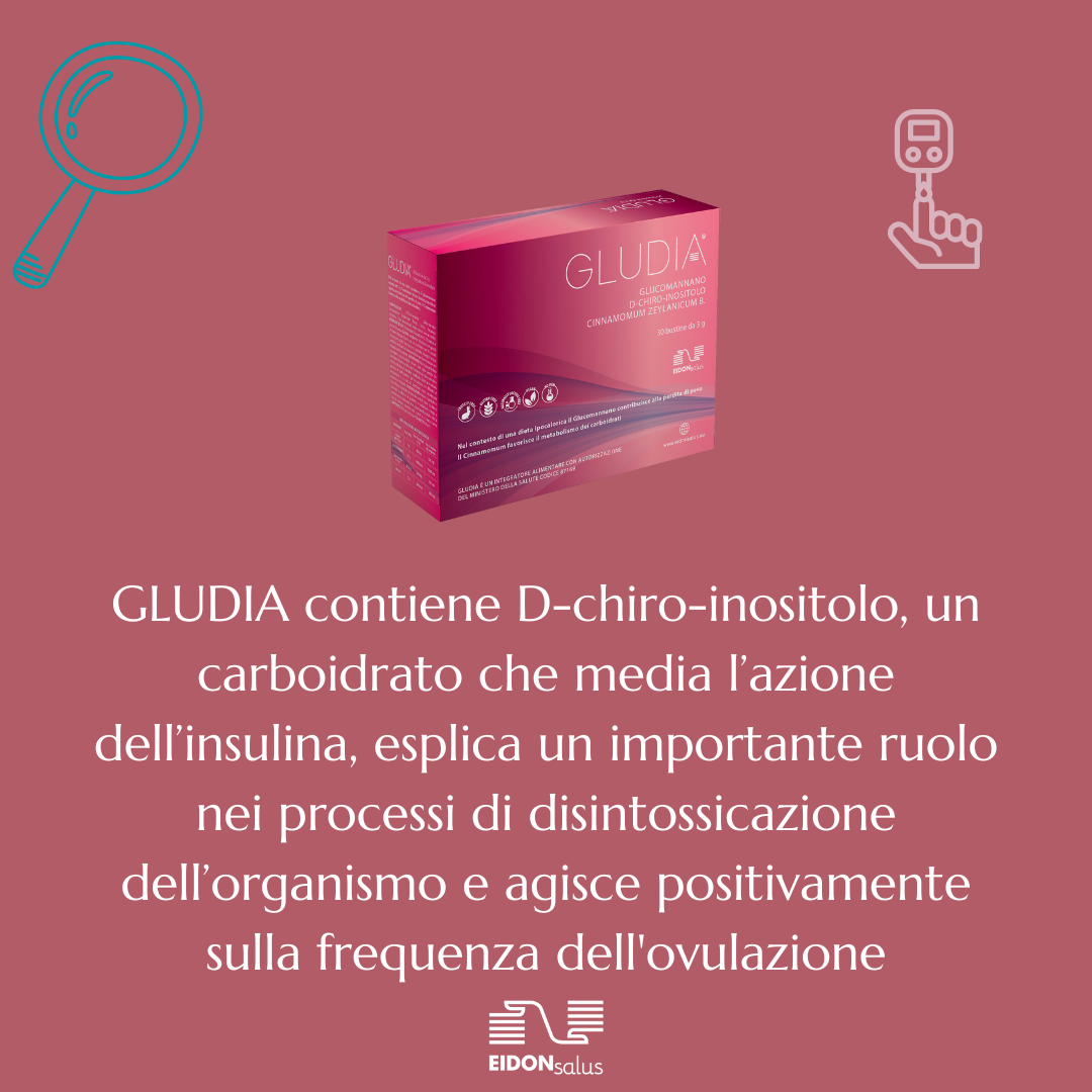 gludia focus