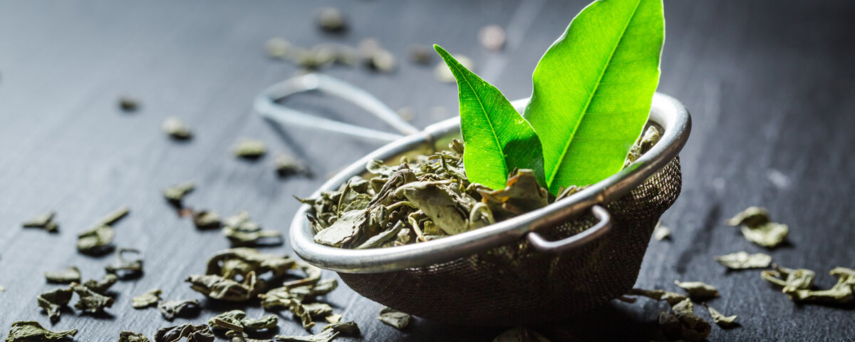 Fresh green tea on black wooden table