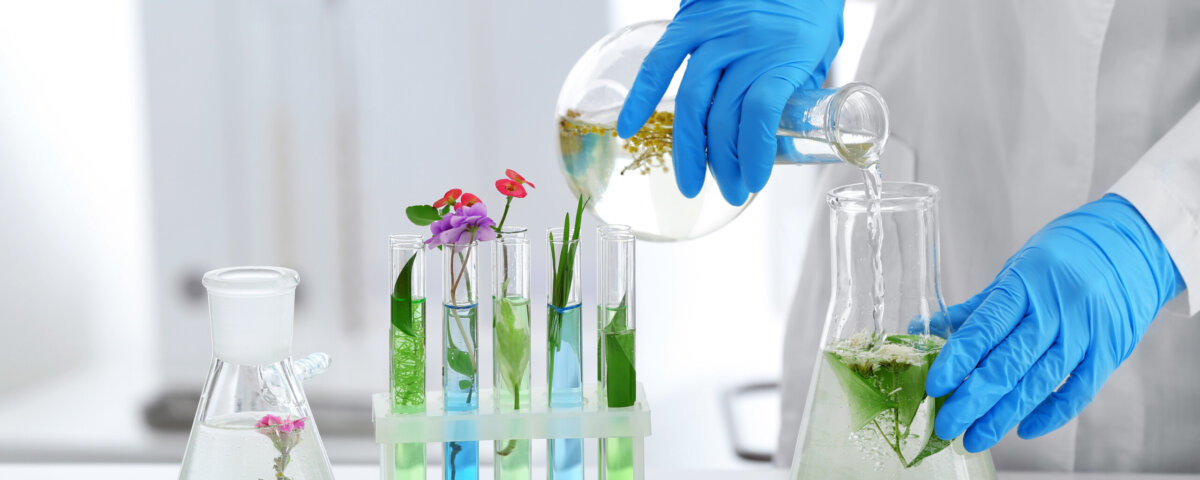 nutraceutica futuro