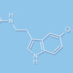 Melatonin hormone molecule. In humans, it plays a role in circad