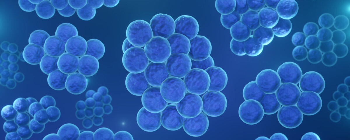 probiotici