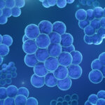 probiotici