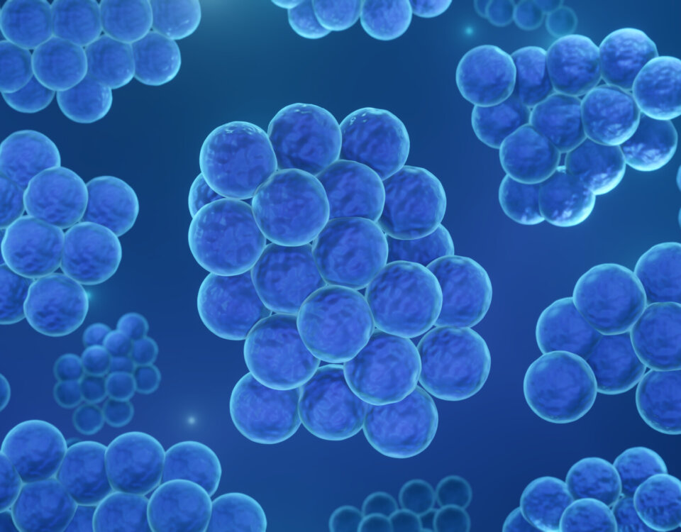 probiotici