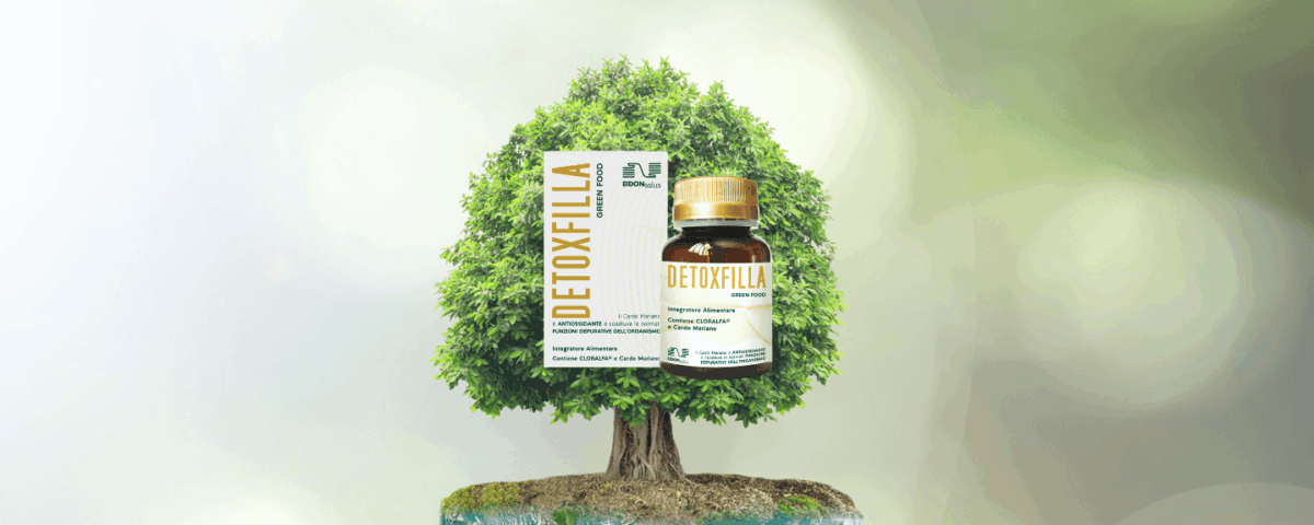 detoxfilla