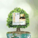 detoxfilla