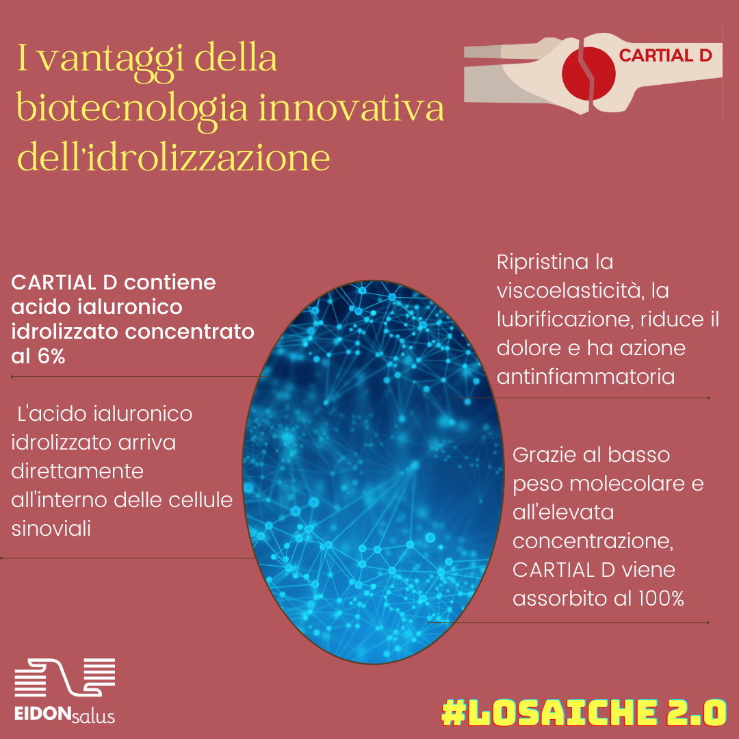 cartial d dettaglio