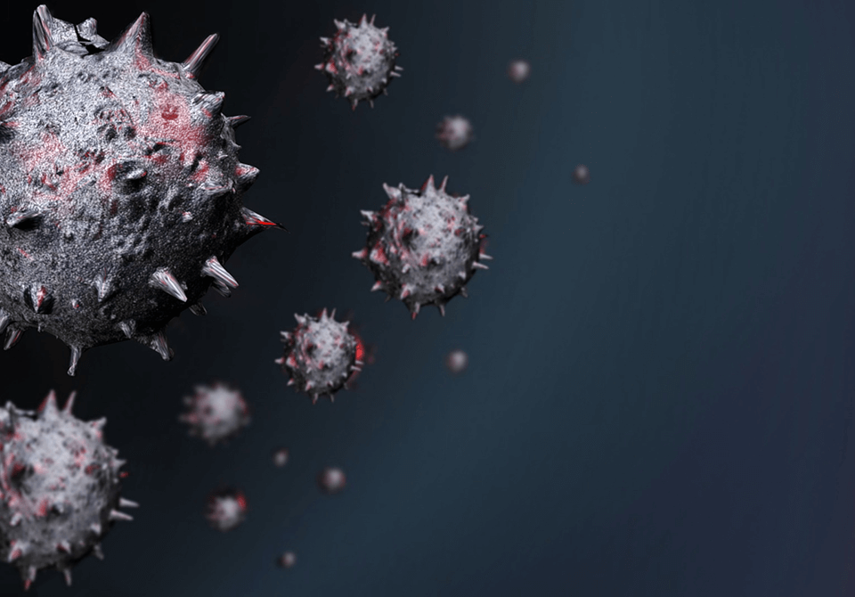 Coronavirus - EIDON salus