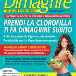 Dimagrire in salute senza stress n.204 di aprile 2019 - EIDON salus