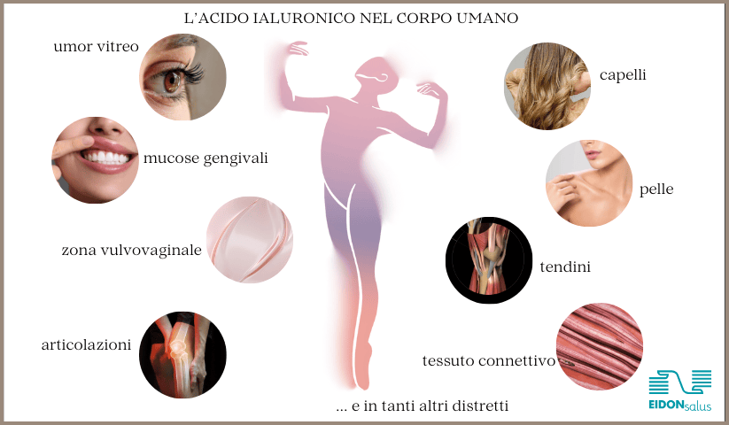 dove si trova l'acido ialuronico