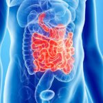 Intestino - EIDON salus