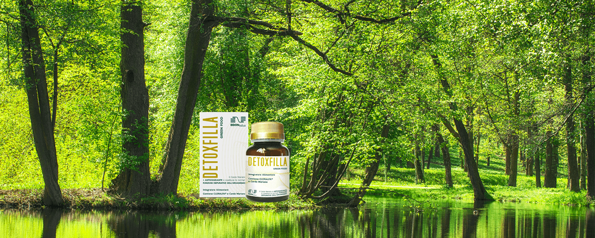 Cloralfa (Clorofilla + Alfa Alfa) - Detoxfilla - EIDON salus
