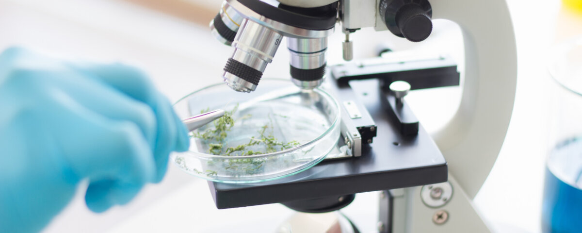 biotecnologia