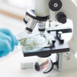 biotecnologia