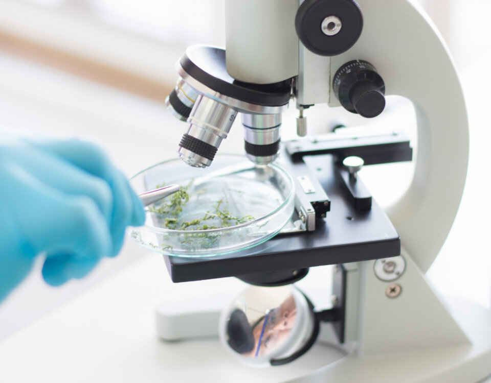 biotecnologia