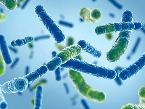 Probiotici