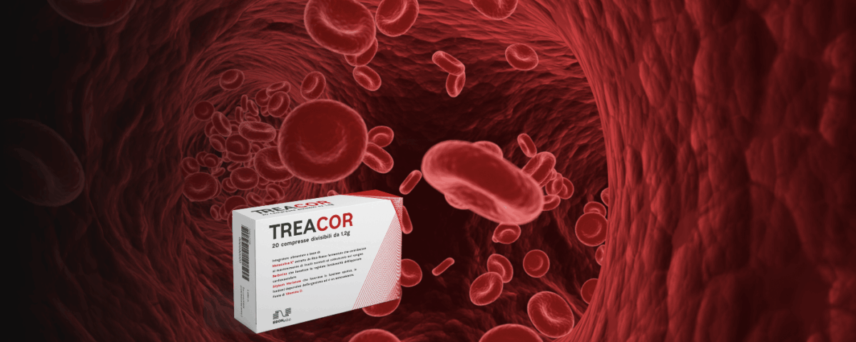 Treacor - EIDON salus