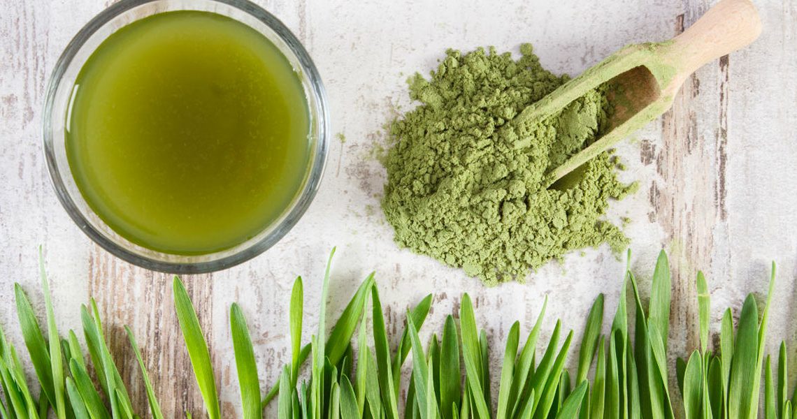 Clorofilla - EIDON salus