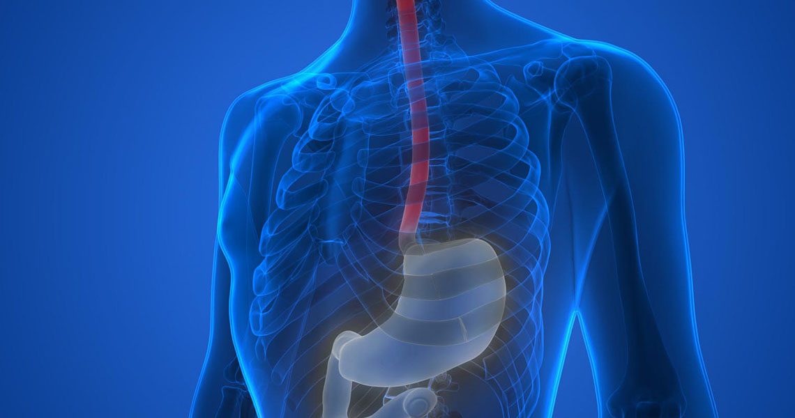 Microbioma dell'esofago - EIDON salus