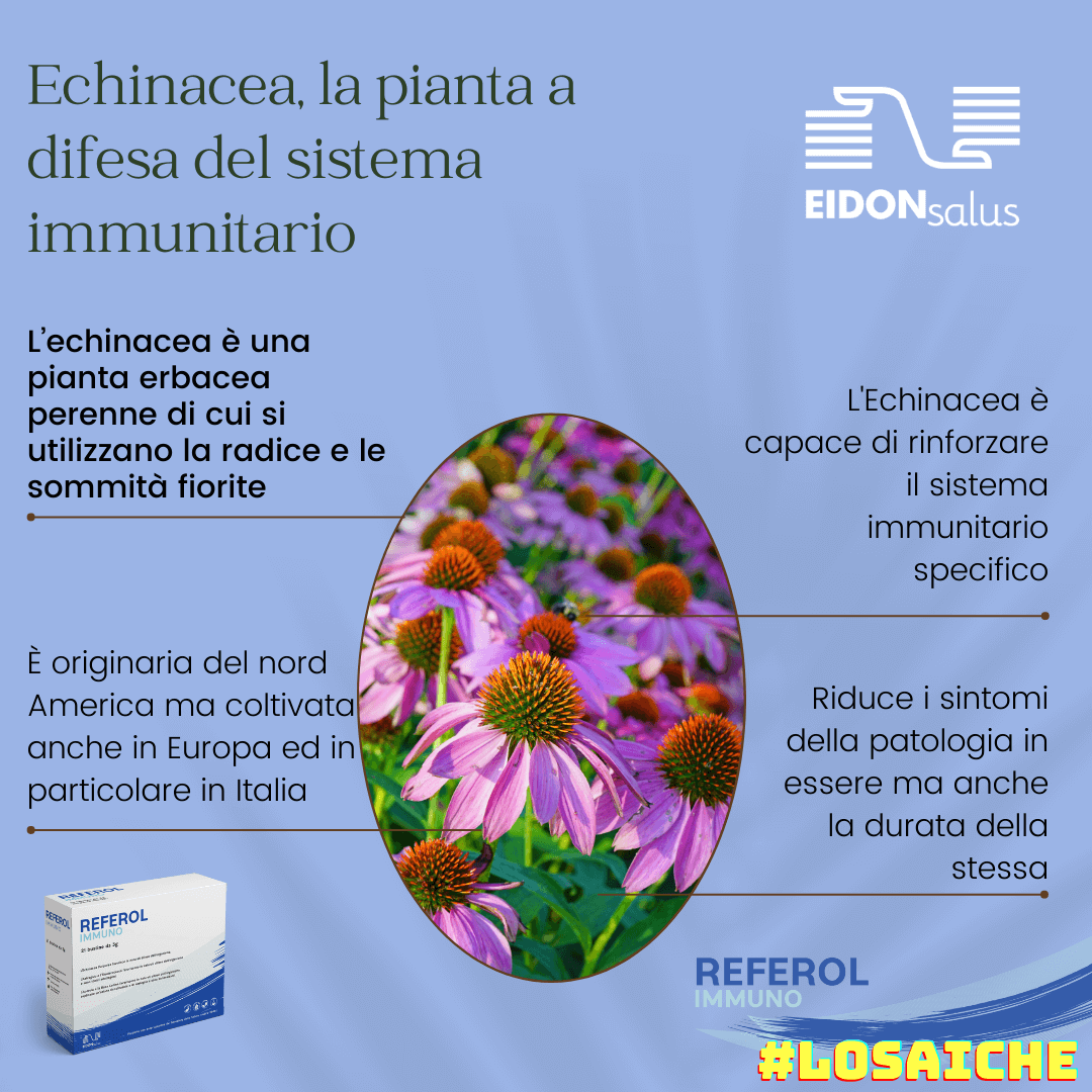 Referol Immuno - Echinacea - EIDON salus