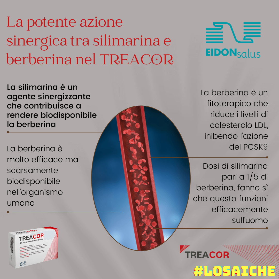 Treacor - berberina - EIDON salus