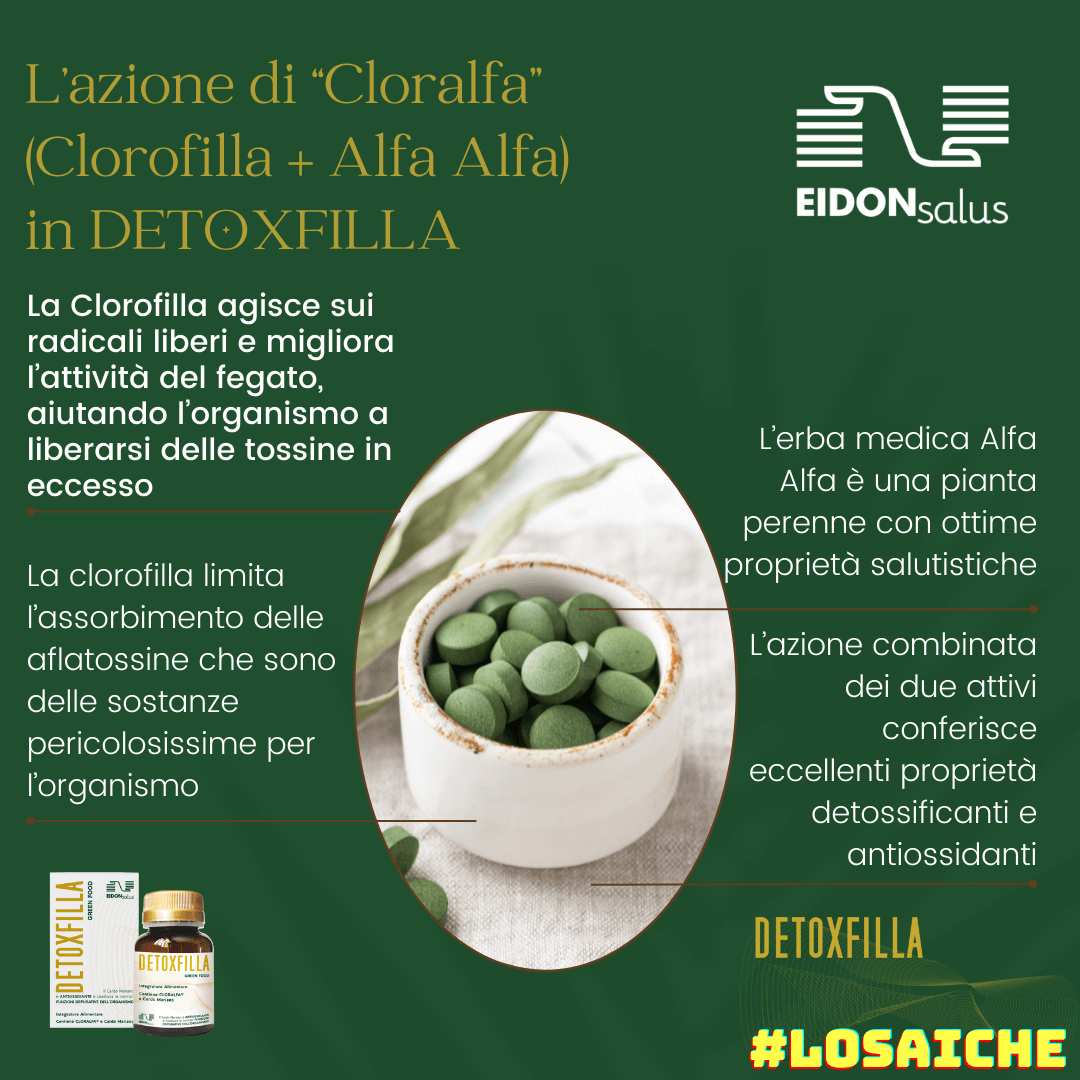 Cloralfa (Clorofilla + Alfa Alfa) - Detoxfilla - EIDON salus