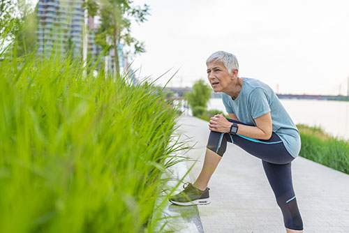 Zovyal - EIDON salus