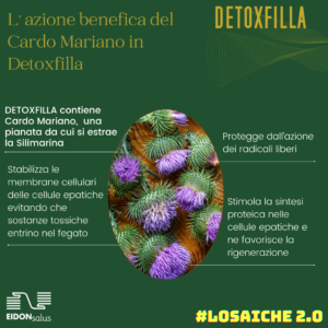 detoxfilla dettaglio