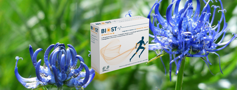 biost foto con piante