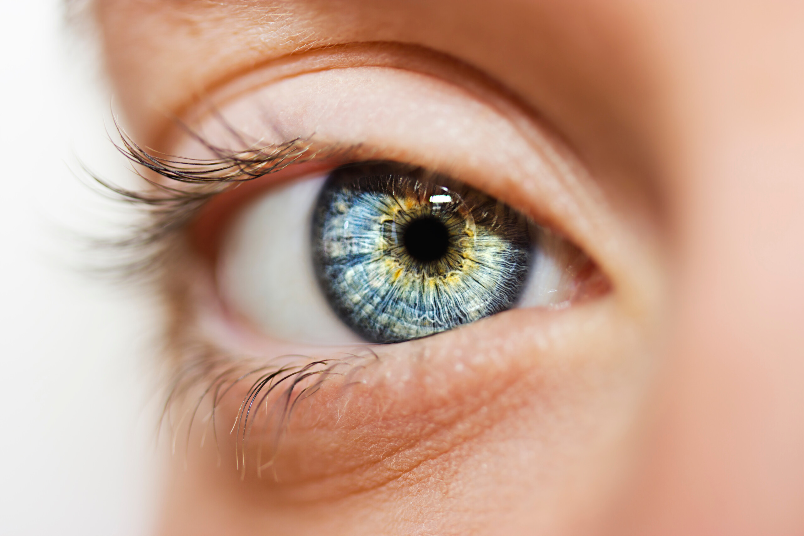 condizioni oftalmiche