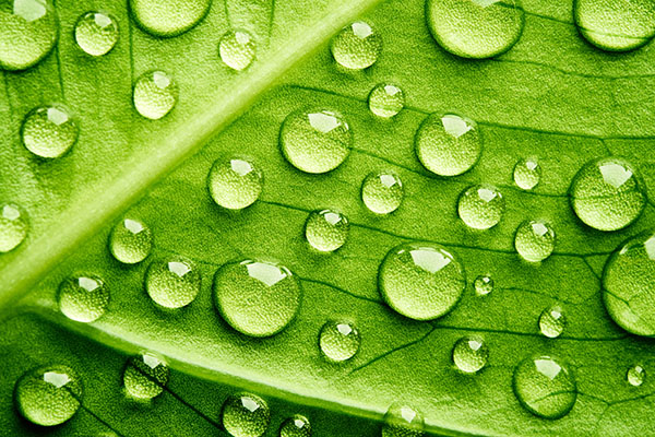 Acido ialuronico - EIDON salus