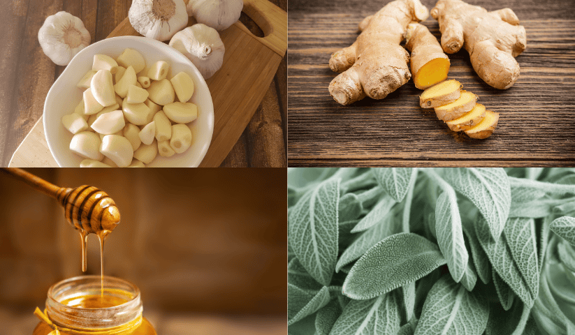 aglio, zenzero, miele e salvia contro il mal di gola