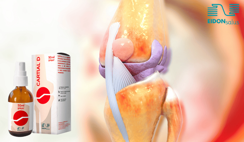 rappresentazione virtuale dell'articolazione del ginocchio